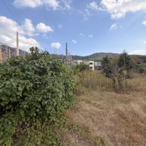 牟礼710-4外3筆 画像3 牟礼710-4外3筆 画像3